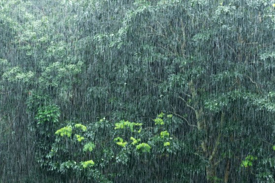 广州梅雨季图片