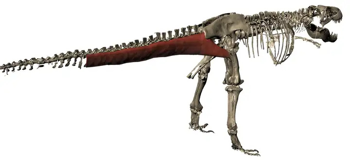 641