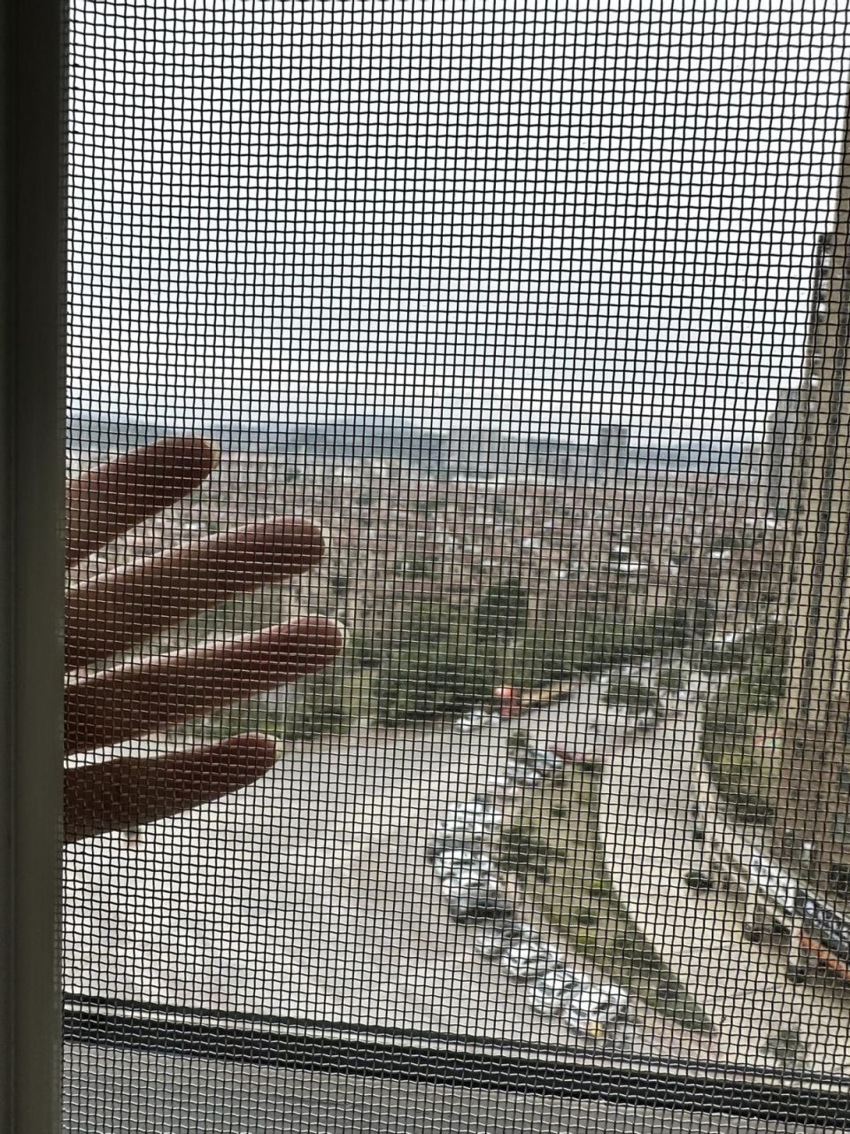 641
