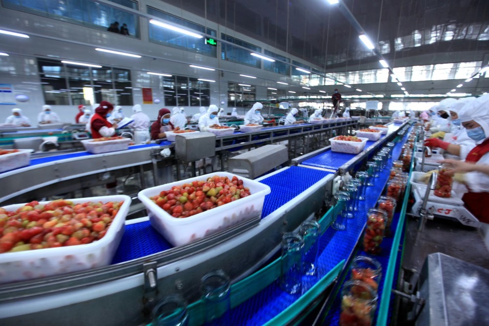 黄桃罐头治百病爆火～平邑罐头企业:已24小时生产,不能治病,请理性