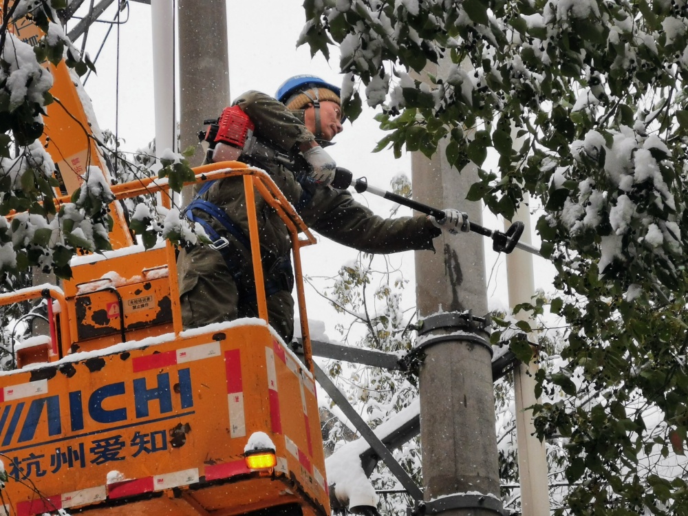 协力清树障供电线路安全通道被重新打通