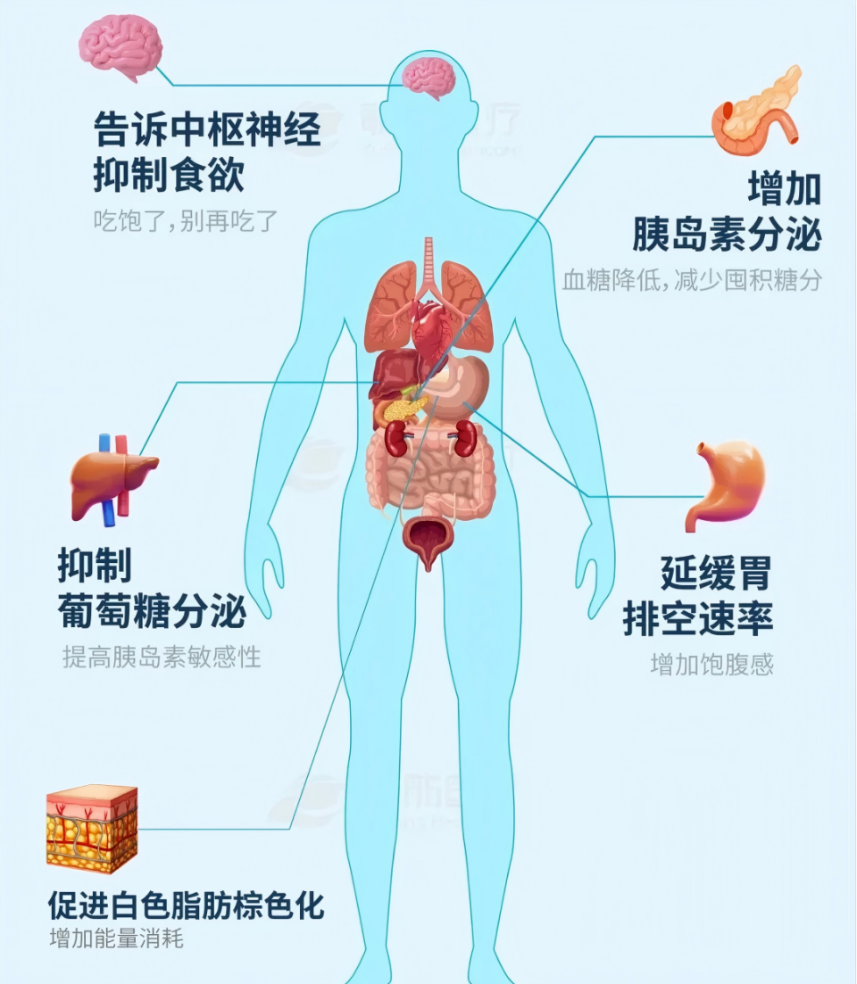 器官坏死的代价：25岁网红每天吃水煮鸡胸肉+西兰花的减肥悲剧-腾讯新闻