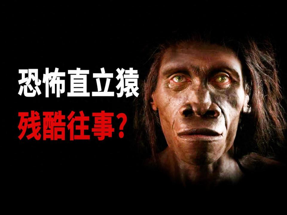 人类祖先经历了什么,才被逼进化成了恐怖直立猿?