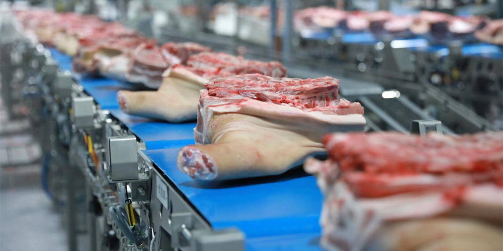 为何美国猪肉会如此便宜？难道靠的就是机械化生产吗？猿辅导学到一半不想学了2023已更新(知乎/哔哩哔哩)