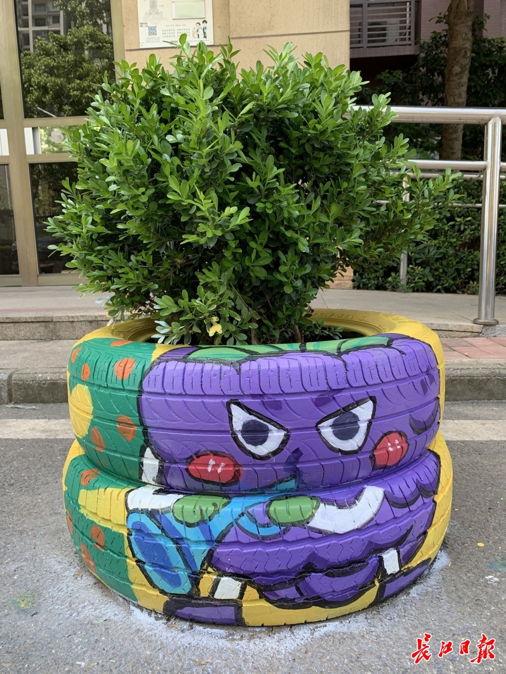给花坛手绘添彩,美术研究生扮靓小区
