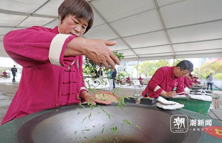 专家对手工炒制和机械炒制的茶叶样品感官质量分别进行评分,参赛选手