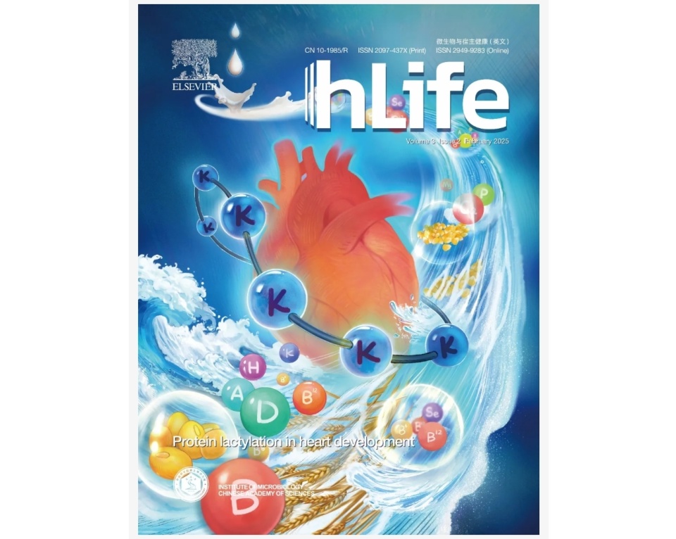hLife 2025年封面文章研赏！_腾讯新闻