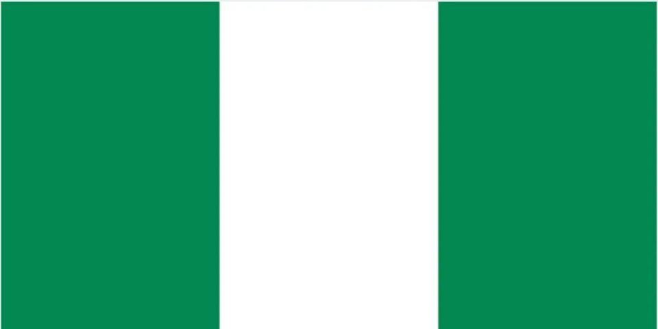 绿白绿三竖条旗正式成为尼日利亚法定国旗沿用至今