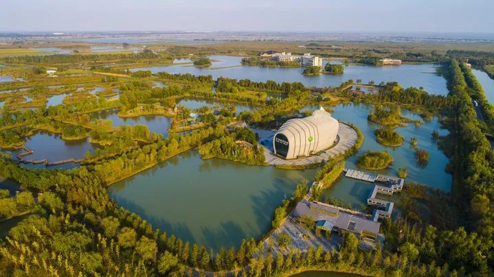 2024泗洪洪泽湖湿地文化旅游季火热开启