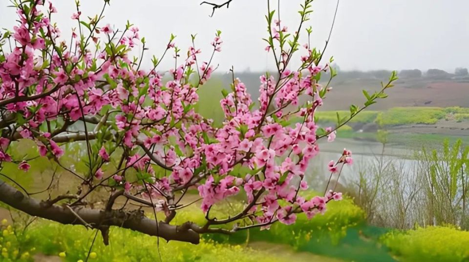 惊蛰将至牢记1做2吃3忌尊重老传统祈福纳祥安稳度春天