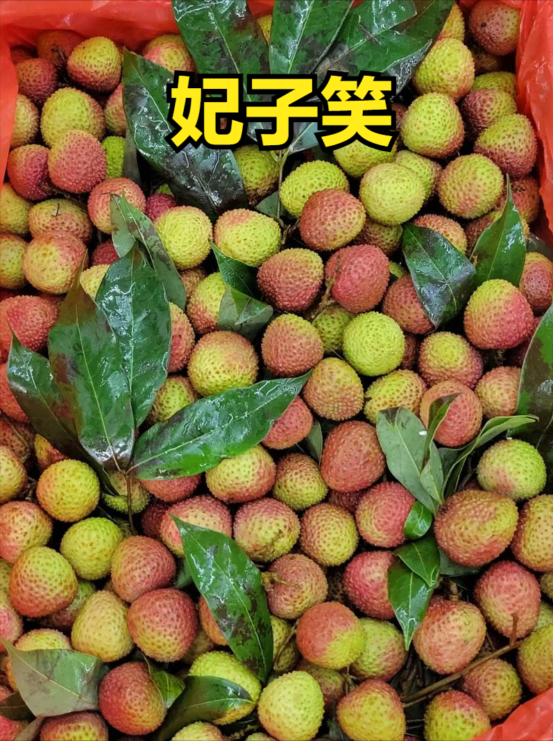 荔枝上市时间表收好！按时间买，从4月吃到7月，月月都有新鲜果_腾讯新闻