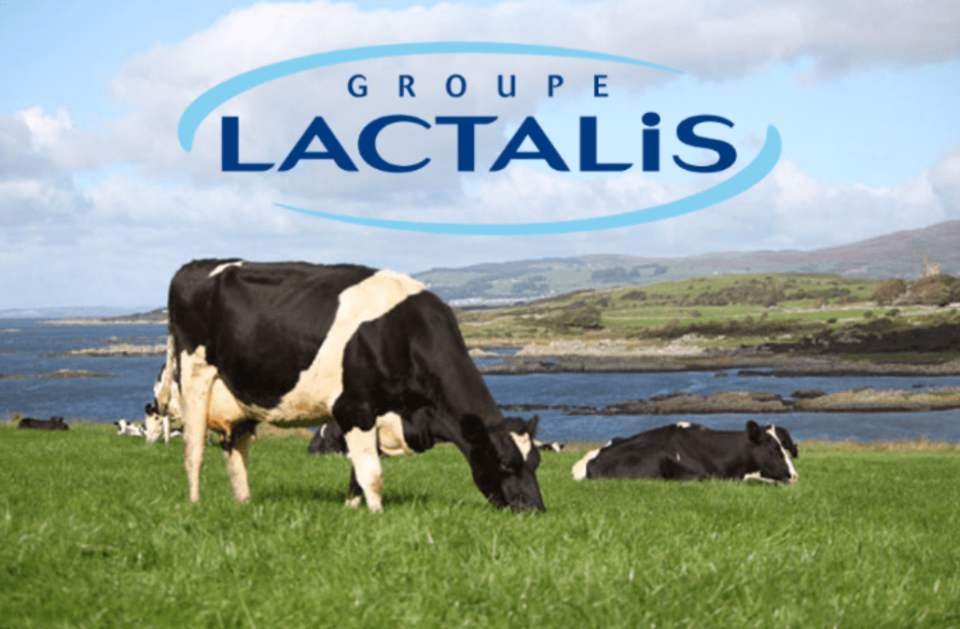 力压雀巢,兰特黎斯如何成为全球乳业龙头?_腾讯新闻