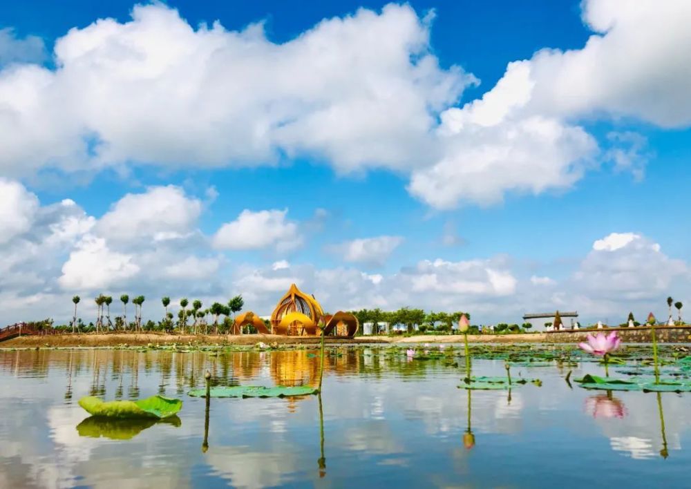 春游沧州线路体验活动来到南大港湿地:乘舟观鸟 苇海青青_腾讯新闻