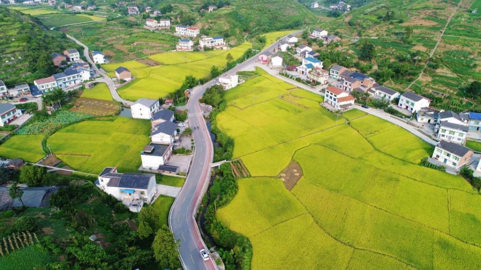 连接板辽金沙滩,九锅箐森林公园等旅游景点