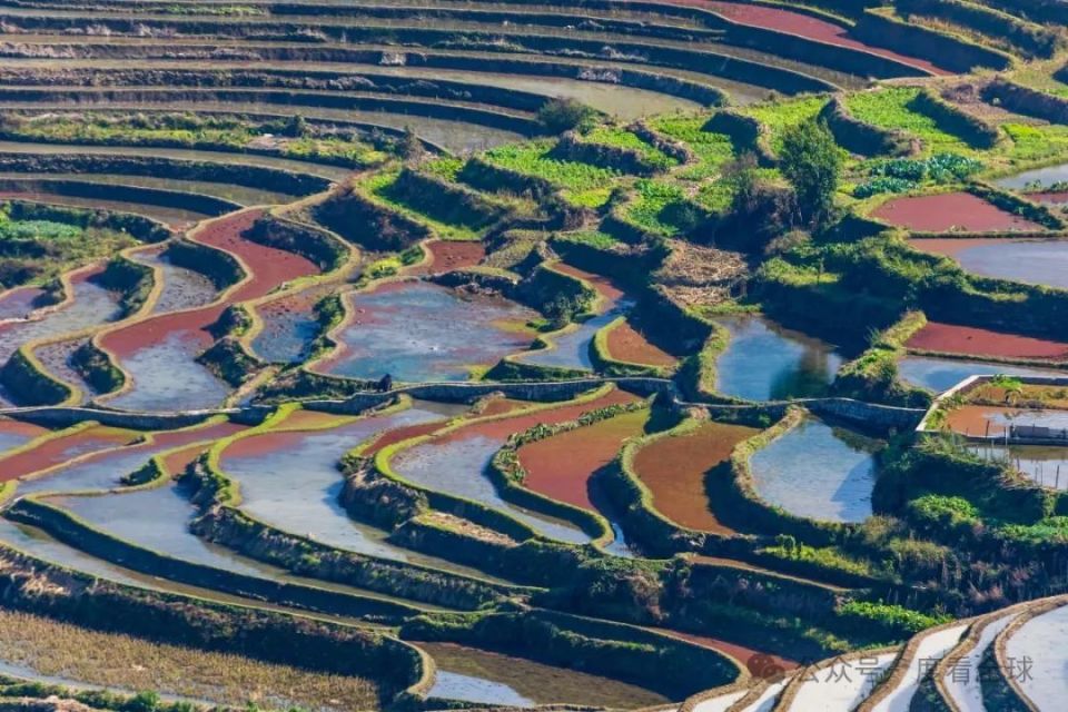 坝达景区,老虎嘴景区和多依树景区,都是观赏哈尼梯田的绝佳位置.