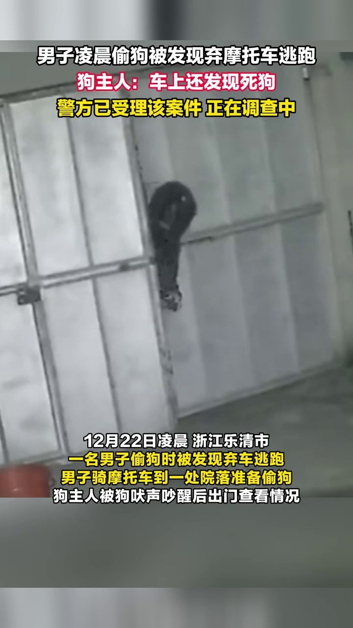 男子凌晨偷狗被发现弃摩托车逃跑，狗主人：车上还发现死狗，警方已受理该案件_腾讯新闻