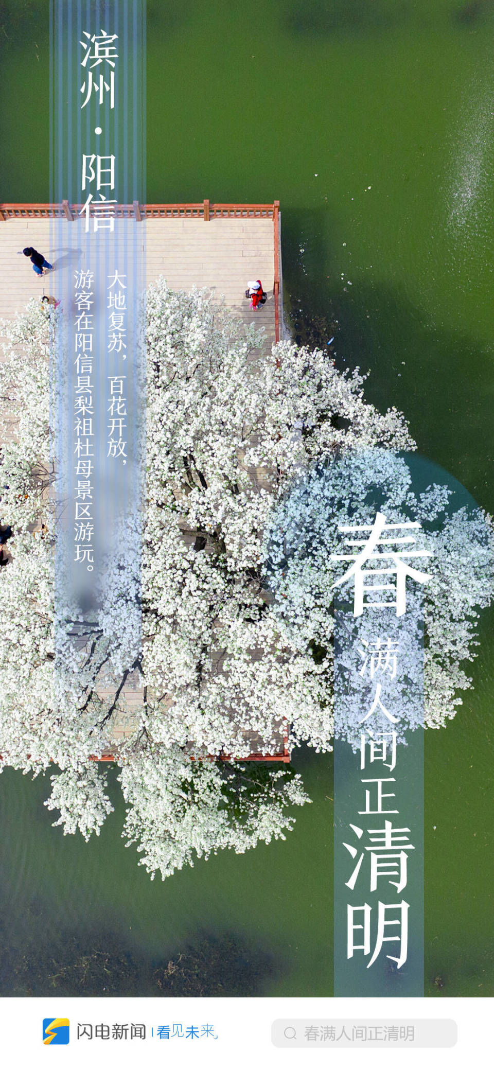 闪电海报|春满人间正清明 云游齐鲁打卡赏花