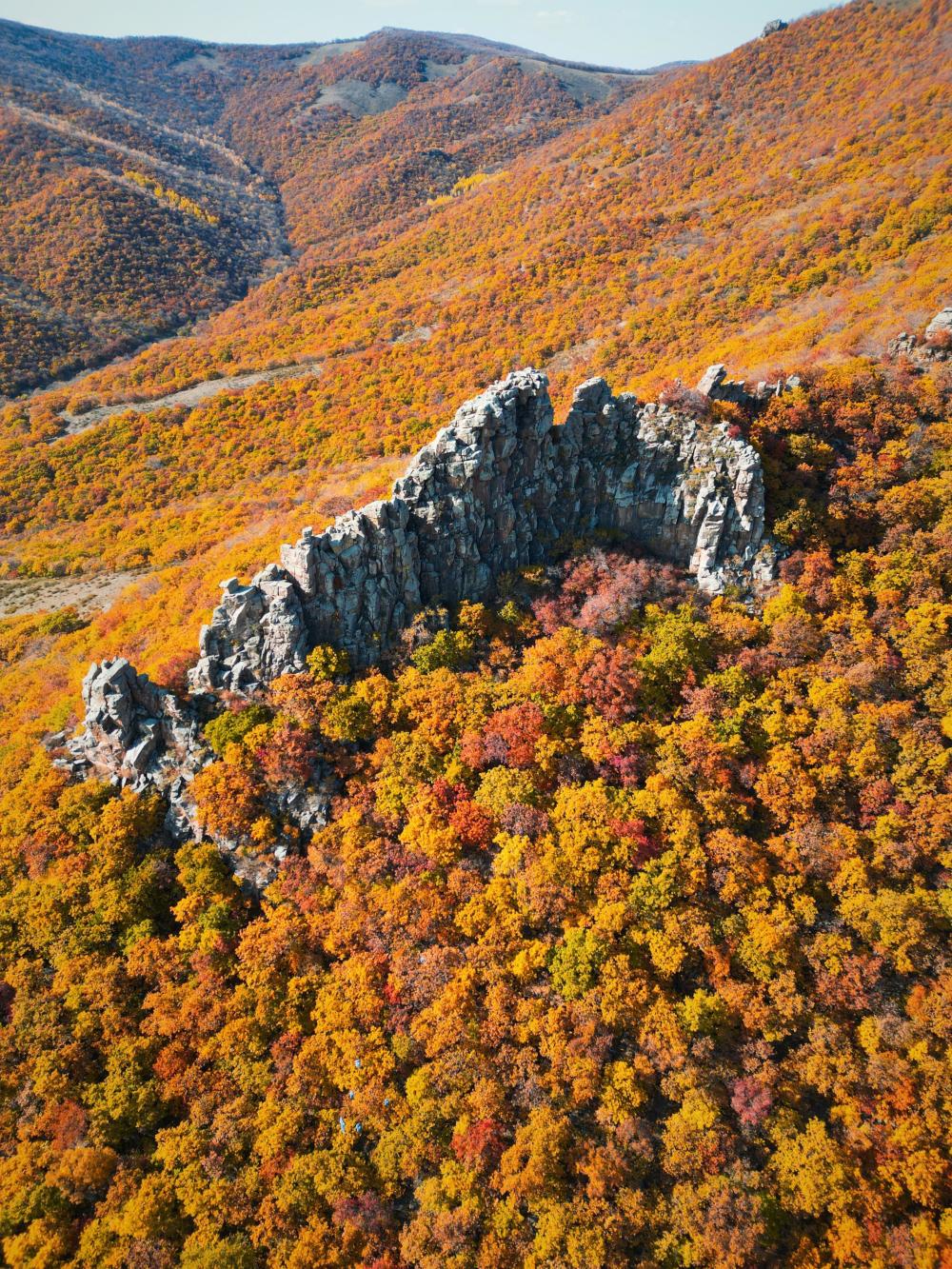 秋游大青山林场:发现科尔沁右翼前旗极美徒步路线