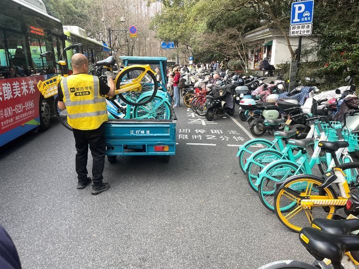 郁金香开了太子湾公园外停满美团单车