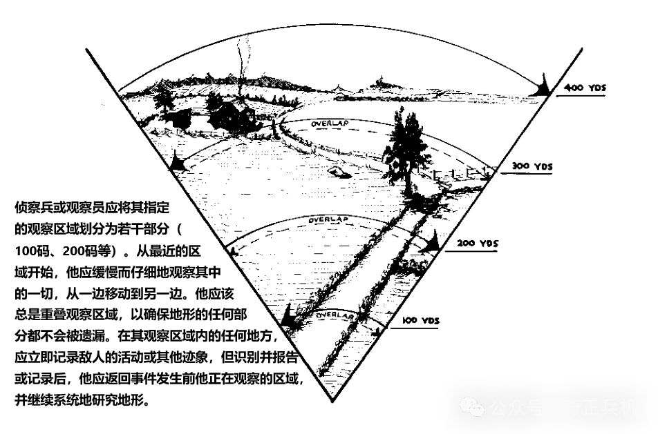 偵察兵還得靠狙擊手配合？這對搭檔到底強在哪？ - 