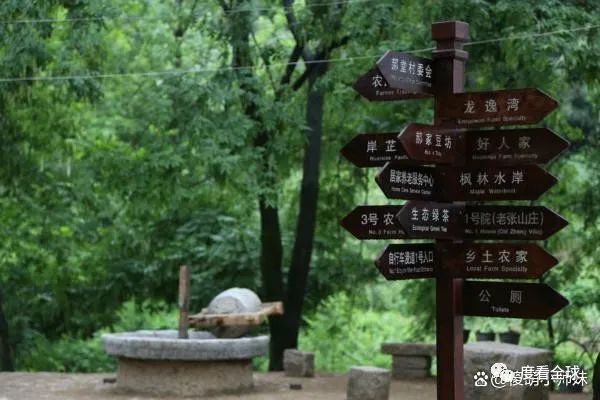 探寻郝堂村山区的明珠乡村发展的典范