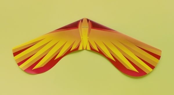 "凤凰"纸飞机(paperang).参赛者将制作的纸飞机按以下要求拍照:1.