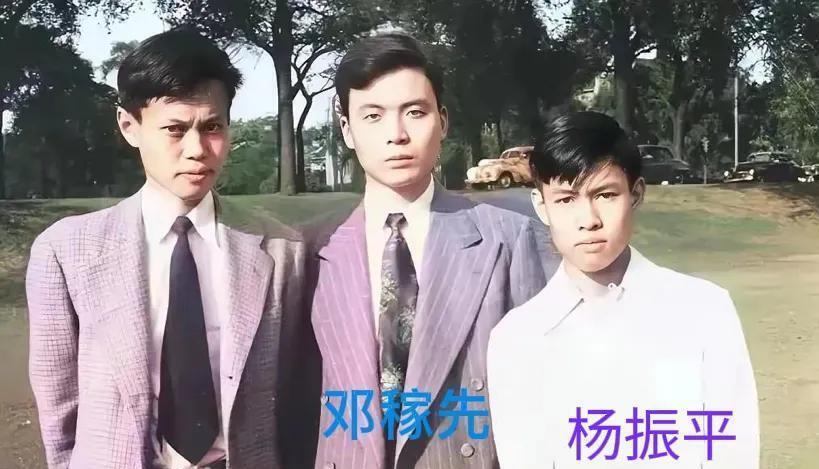 杨武之与妻子吵架，杨振宁保护母亲怒吼父亲，弟弟杨振平称赞哥哥_腾讯新闻