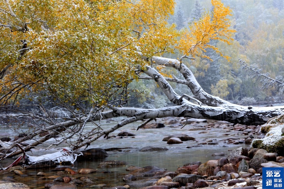随着《我的阿勒泰》热播,探寻秘境可可托海美景与牧羊人精彩故事