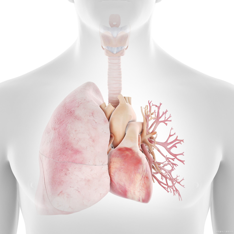 5类人群,40岁以后做好筛查,预防肺结节,早发现早治疗