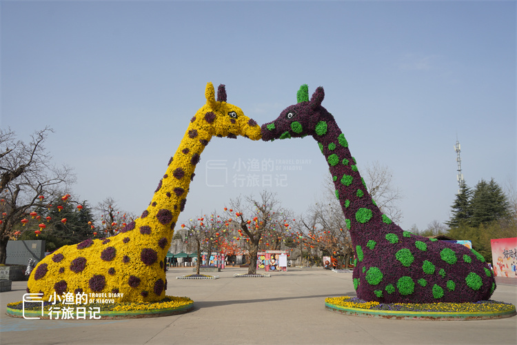 西安秦岭野生动物园半日游,全是细节,这份游玩攻略请收好_腾讯新闻