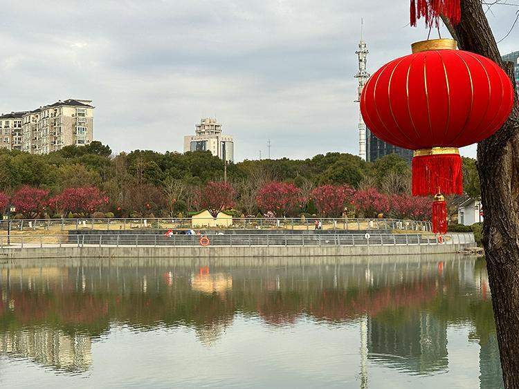 花展主会场:莘庄公园(莘浜路421号),莘庄梅园(虹莘路688号)花展分会场