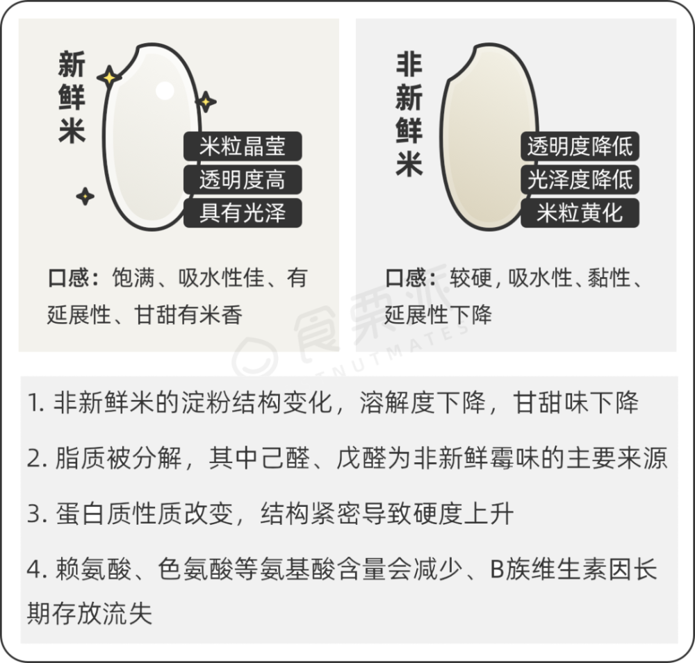 白米糯米黑米胚芽米糙米粳米籼米寿司米泰国香米,你吃过几个?