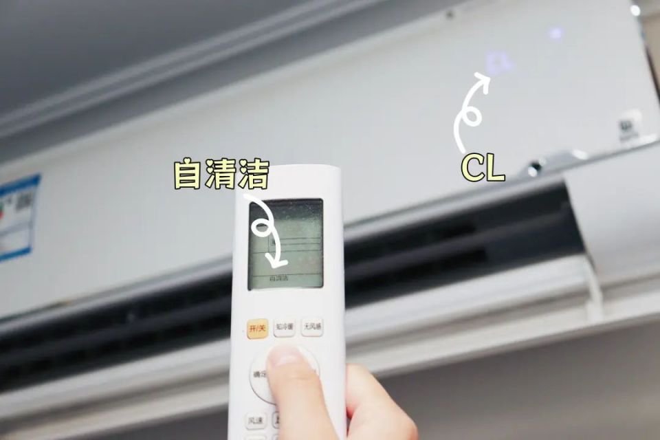 641
