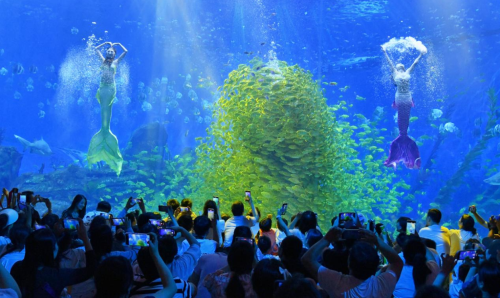 端午假期主题系列酒店满房,郑州海昌海洋旅游度假区提前迎来暑期出游