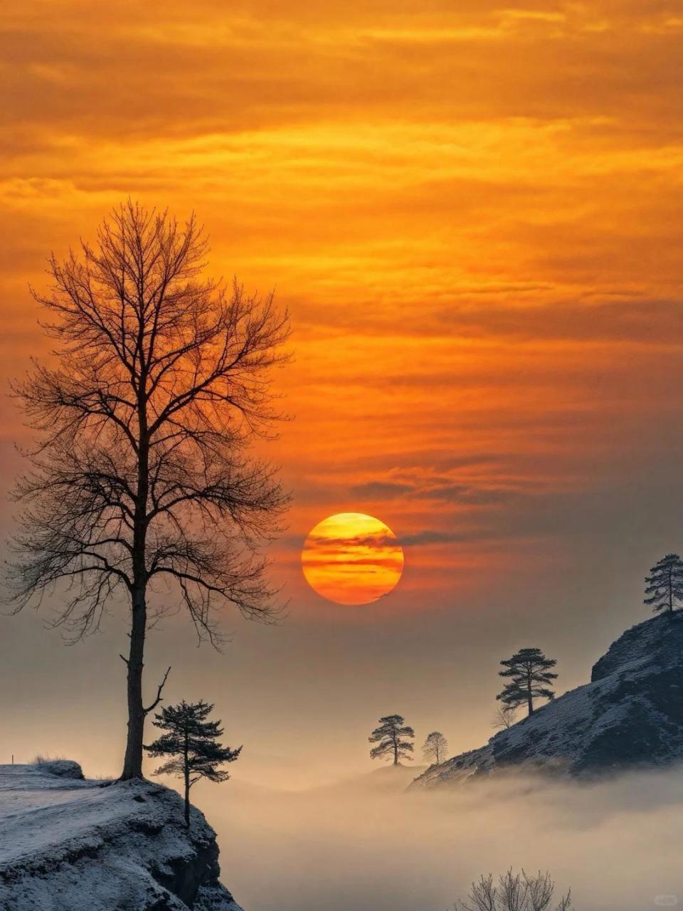 大漠孤烟直,长河落日圆.24句以小见大诗词:尺幅千里,意境壮阔