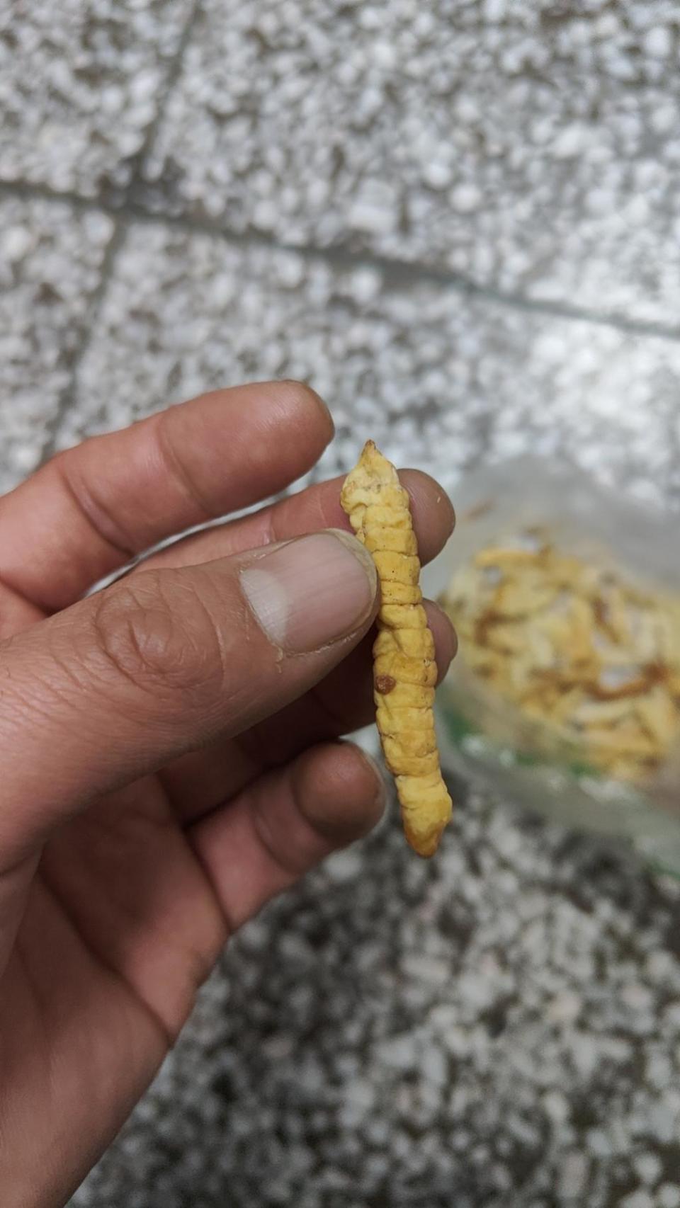 地牯牛摇身变"虫草" 40多位老人上当受骗