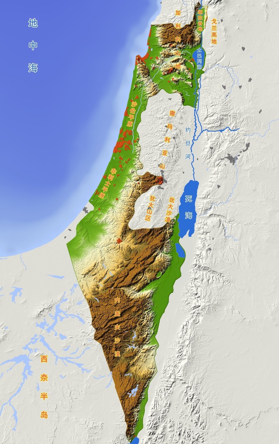 殷罡先生罕见做到了