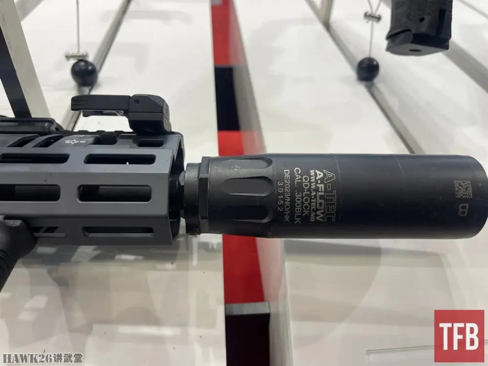 细看：黑克勒-科赫G39步枪 .300BLK口径 德国特种部队的专用武器_腾讯新闻