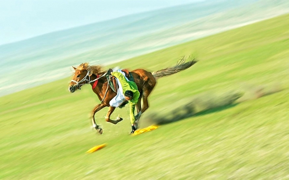 行摄大草原:马术绝技