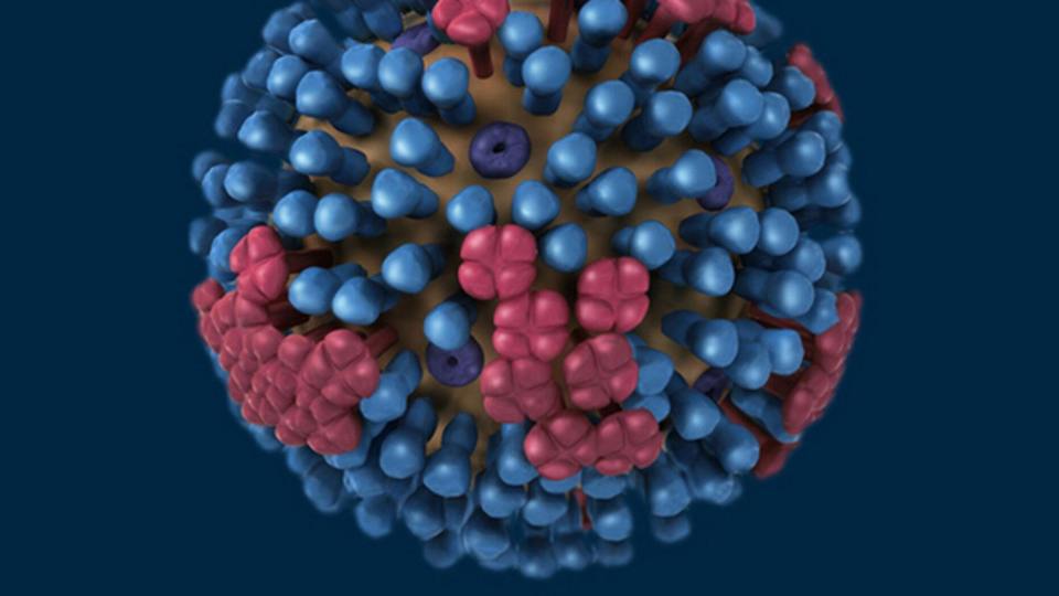 who估计全球每年有10亿人患流感,但实际的感染人数恐超35亿?