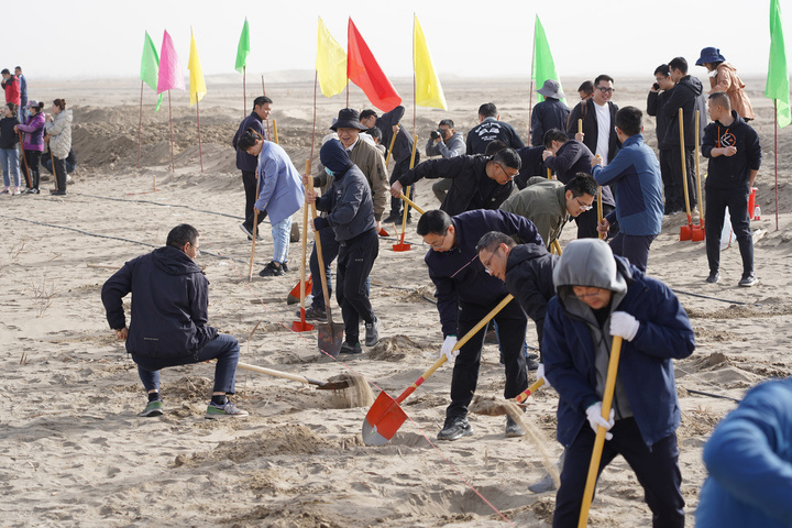 浙江省援疆干部人才开展春季义务植树造林活动