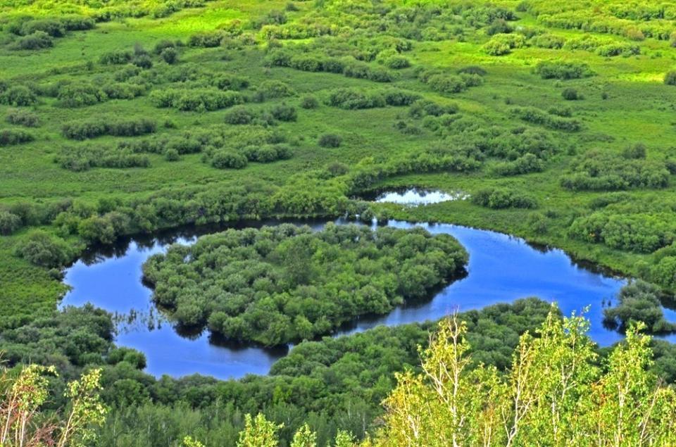 额尔古纳的湿地风光