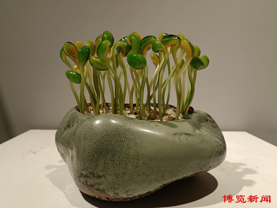 她的24岁是这样的