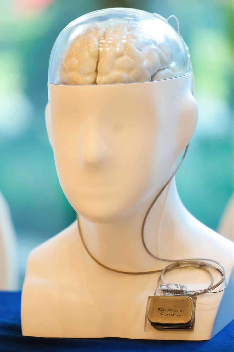 突发情况下，为何机器人反应迟钝而人类反应敏捷？这场大会聚焦脑机智能_腾讯新闻