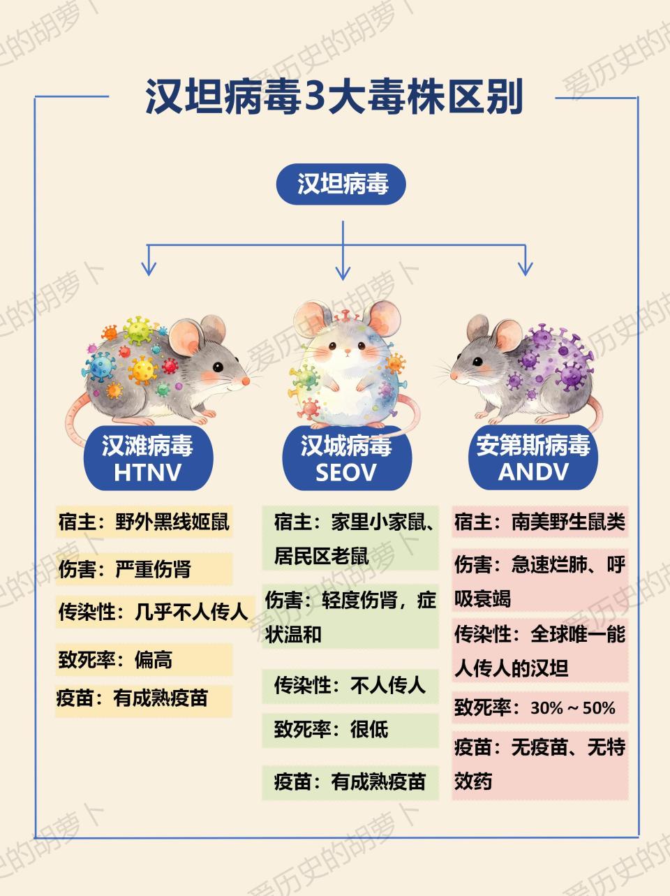 一文厘清汉坦病毒三大毒株，致病差异与流行特征解析_腾讯新闻