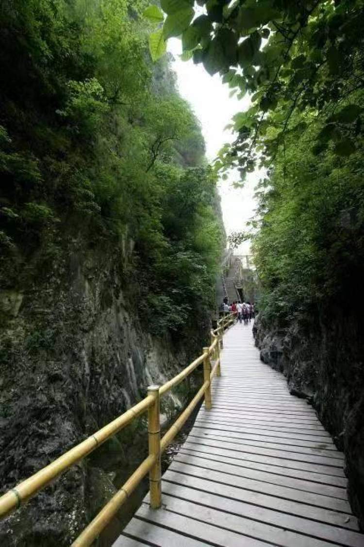 金丝峡景区一日游图片