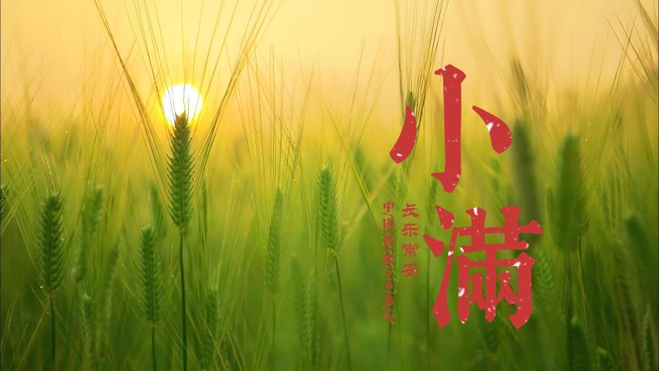 【中国传统文化】农历月份(四月)雅称:槐月,麦月,余月,梅月