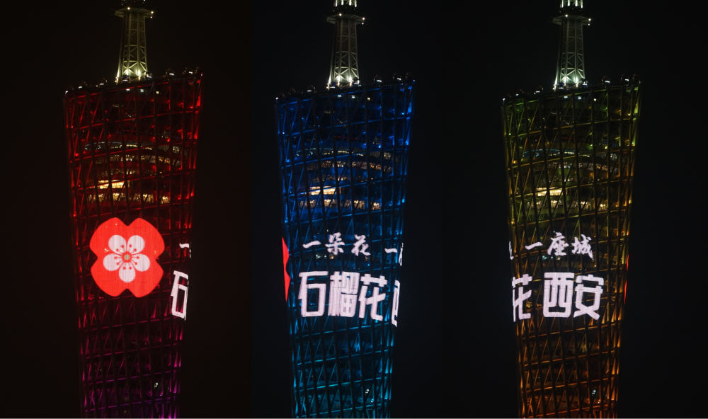 西安市花"石榴花"绽放广州"小蛮腰"