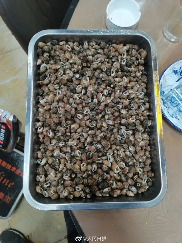 一餐馆售卖这种螺涉嫌犯罪警方介入