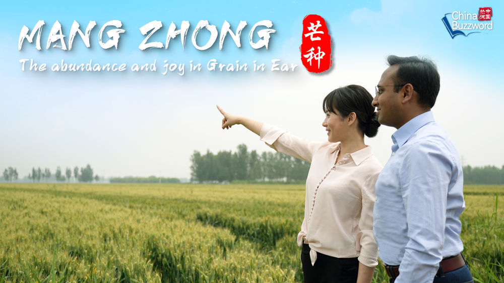 中国热词：芒种里的充实与喜悦